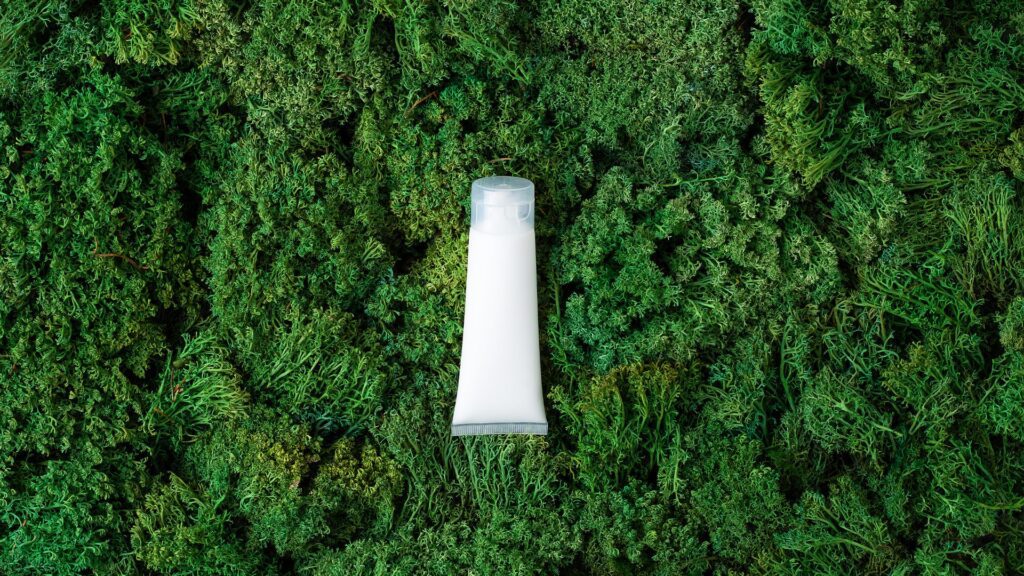 Eco-Friendly and Natural Toothpaste Alternatives